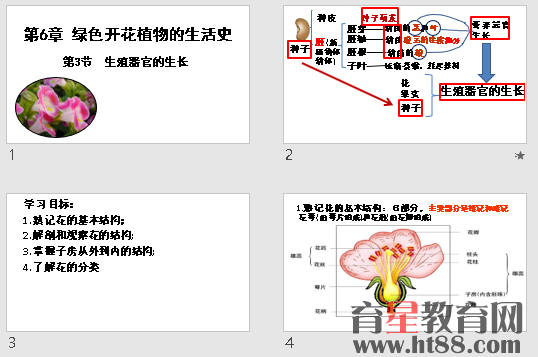 鿴Ԥͼ